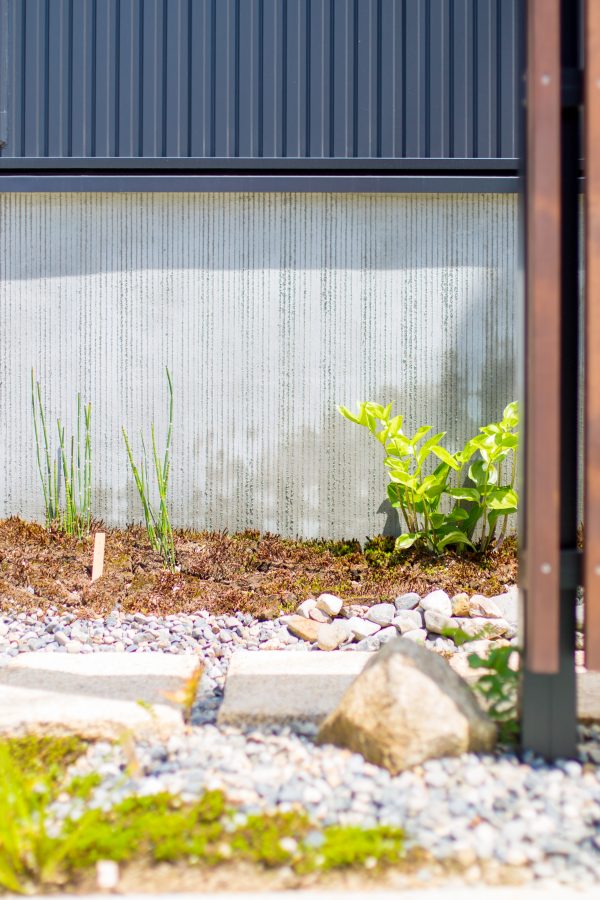 外壁に沿った緑　