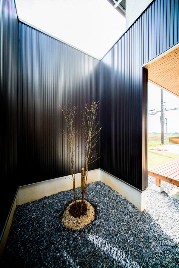 存在感のあるヒメシャラのプチ庭　