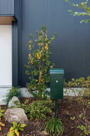 アプローチを彩る緑とポスト